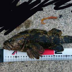 まさかまさかの尺アップ！？